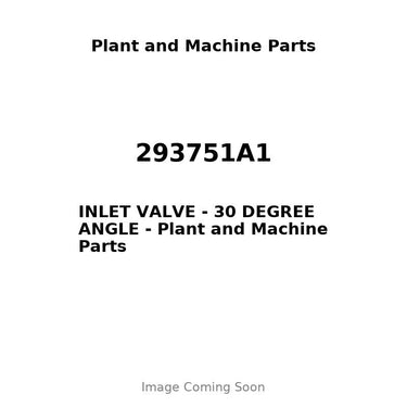 293751A1 - INLET VALVE - 30 DEGREE ANGLE
