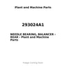 293024A1 - NEEDLE BEARING, BALANCER - REAR