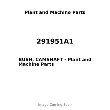 291951A1 - BUSH, CAMSHAFT