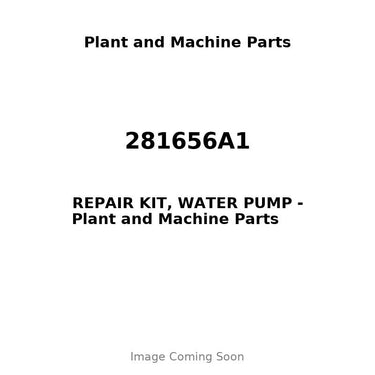 281656A1 - REPAIR KIT, WATER PUMP