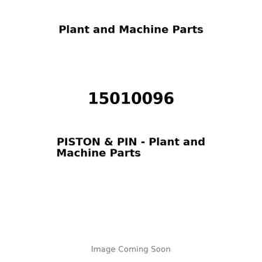 15010096 - PISTON & PIN