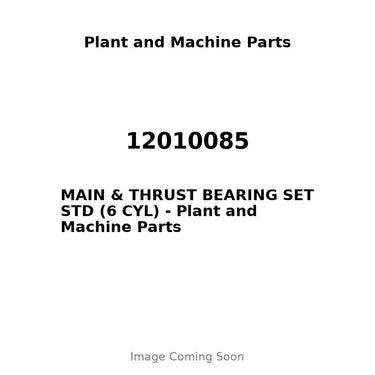 12010085 - MAIN & THRUST BEARING SET STD (6 CYL)