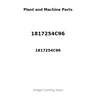 1817254C96 - GASKET KIT CYLINDER HEAD