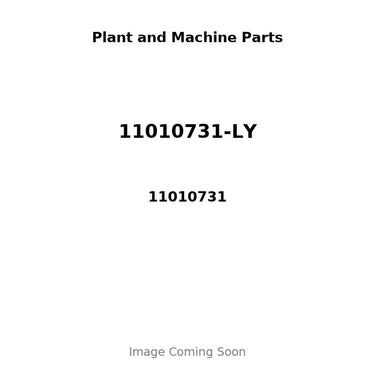 11010731-LY - OVERHAUL KIT C/W 68301