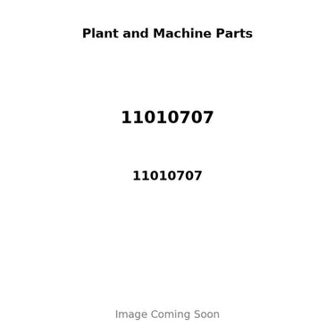 11010707 - OVERHAUL KIT: A4.203 (CAST IRON)