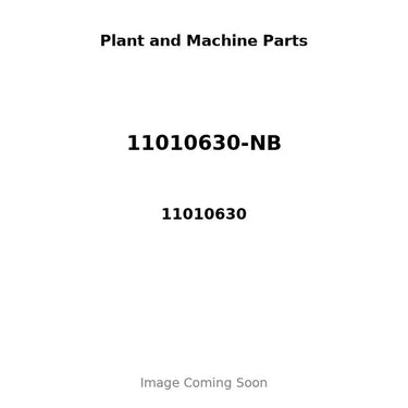 11010630-NB - ENGINE KIT: 1006.6T