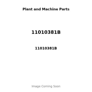 11010381B - PISTON & PIN .50MM
