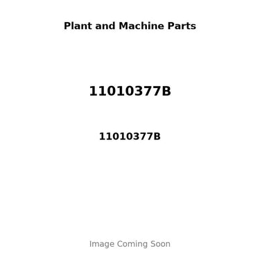 11010377B - PISTON, PIN & CLIPS - .50MM