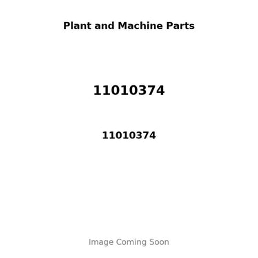 11010374 - PISTON, PIN & CLIPS - STD