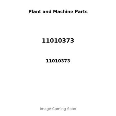 11010373 - PISTON, PIN & CLIPS - STD