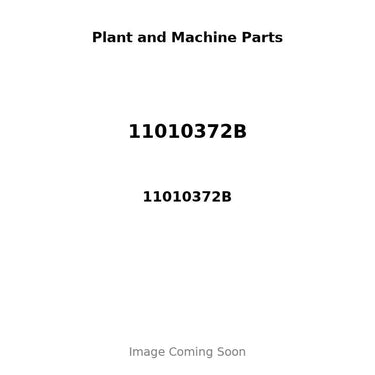 11010372B - PISTON, PIN & CLIPS - .50MM