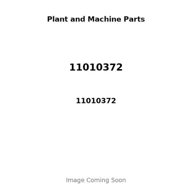 11010372 - PISTON, PIN & CLIPS - STD