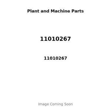 11010267 - PISTON, PIN & RING KIT