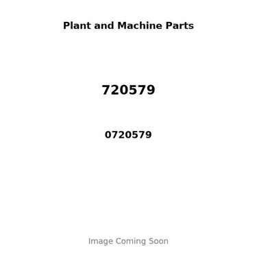 0720579 - SCREW, ROCKER ADJUSTER