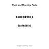 1687819C91 - TENSIONER ASSY