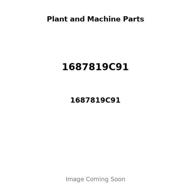 1687819C91 - TENSIONER ASSY
