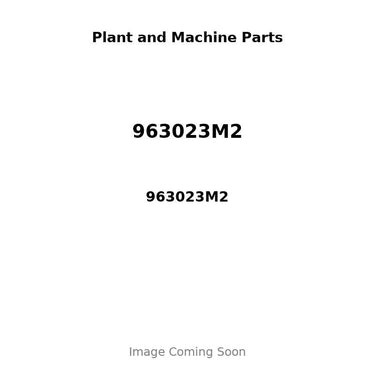963023M2 - FUEL TANK CAP ECONOMY