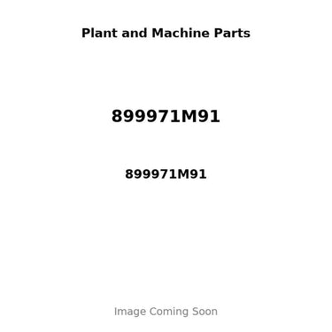 899971M91 - CLUTCH PLATE MAIN, 11