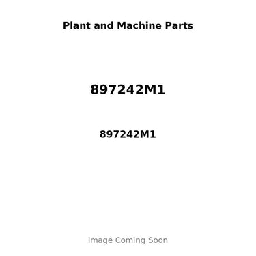 897242M1 - OIL SEAL