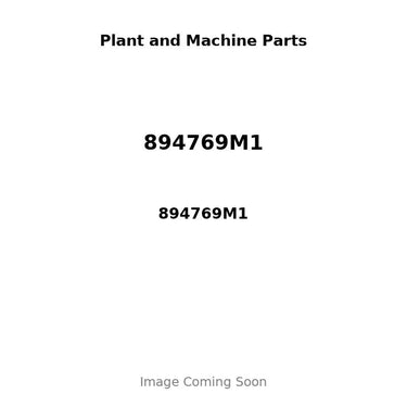 894769M1 - PINION