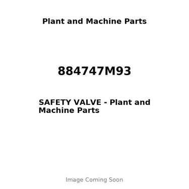 884747M93 - SAFETY VALVE