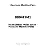 880441M1 - INSTRUMENT PANEL LIGHT