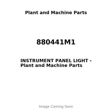 880441M1 - INSTRUMENT PANEL LIGHT
