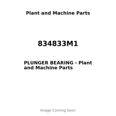 834833M1 - PLUNGER BEARING