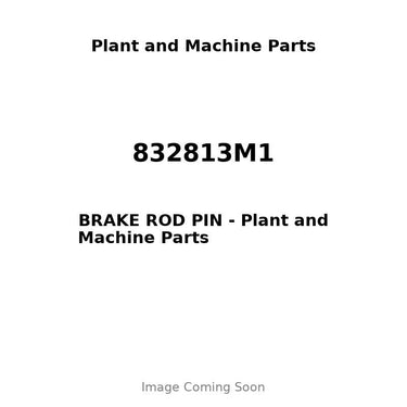 832813M1 - BRAKE ROD PIN
