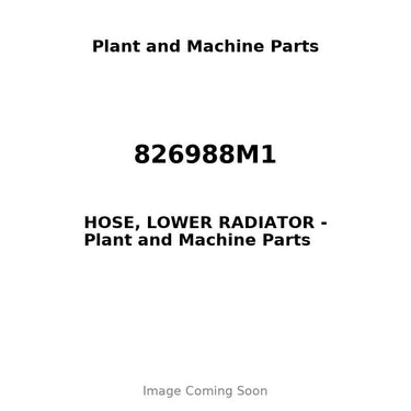 826988M1 - HOSE, LOWER RADIATOR