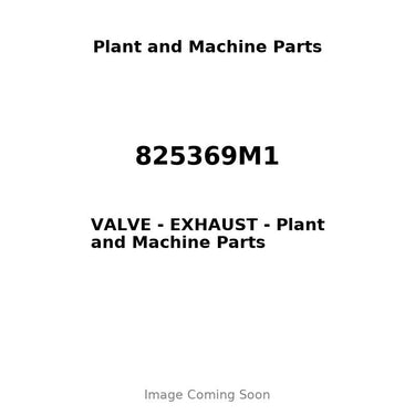 825369M1 - VALVE - EXHAUST