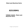 825199M1 - TIMING CHAIN