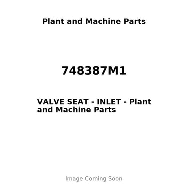 748387M1 - VALVE SEAT - INLET