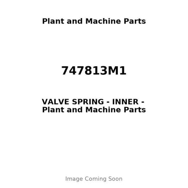 747813M1 - VALVE SPRING - INNER