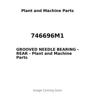 746696M1 - GROOVED NEEDLE BEARING - REAR