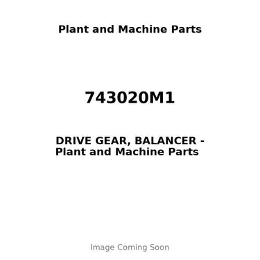 743020M1 - DRIVE GEAR, BALANCER