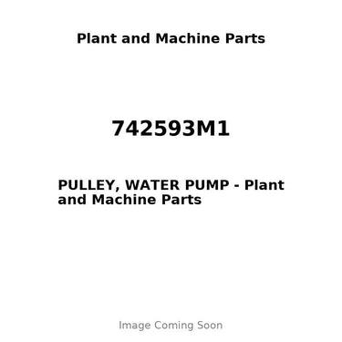 742593M1 - PULLEY, WATER PUMP