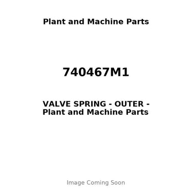 740467M1 - VALVE SPRING - OUTER