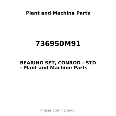 736950M91 - BEARING SET, CONROD - STD