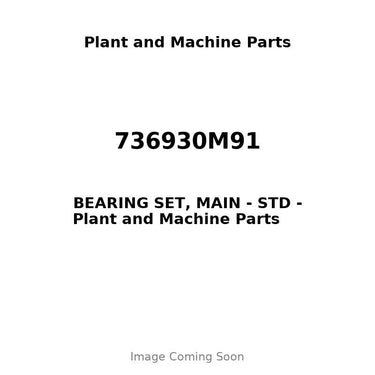 736930M91 - BEARING SET, MAIN - STD