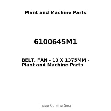 6100645M1 - BELT, FAN - 13 X 1375MM
