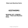 4227445M1 - BEARING SET, CONROD - .010''