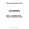 4224868M1 - BOLT, CYLINDER HEAD