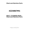 4224867M1 - BOLT, CYLINDER HEAD