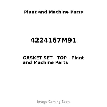 4224167M91 - GASKET SET - TOP
