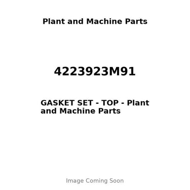 4223923M91 - GASKET SET - TOP