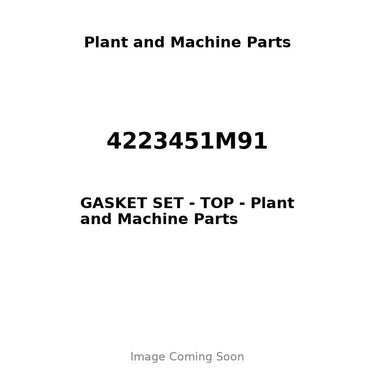 4223451M91 - GASKET SET - TOP