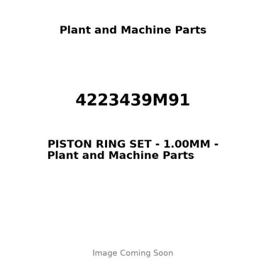4223439M91 - PISTON RING SET - 1.00MM