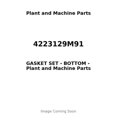 4223129M91 - GASKET SET - BOTTOM