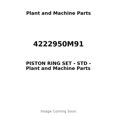 4222950M91 - PISTON RING SET - STD